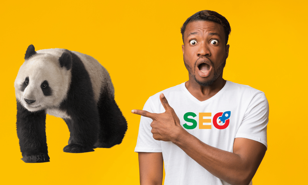 Google Panda Update SEO Changes Content